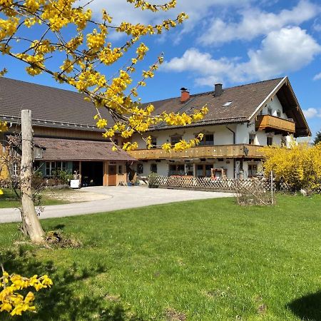 Ferienwohnungen Dopplerhof 피딩 외부 사진